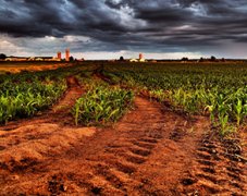 土壤養(yǎng)分分析儀對土壤有什么作用？